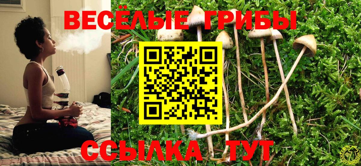 Псилоцибиновые грибы Cubensis  Галлюциногенные грибы Magic Shrooms  Вход с VPN  Арзамас 