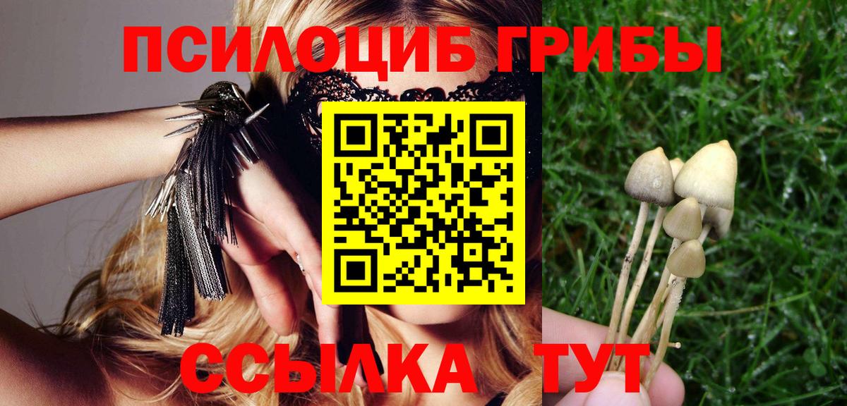 Галлюциногенные грибы Magic Shrooms Арзамас
